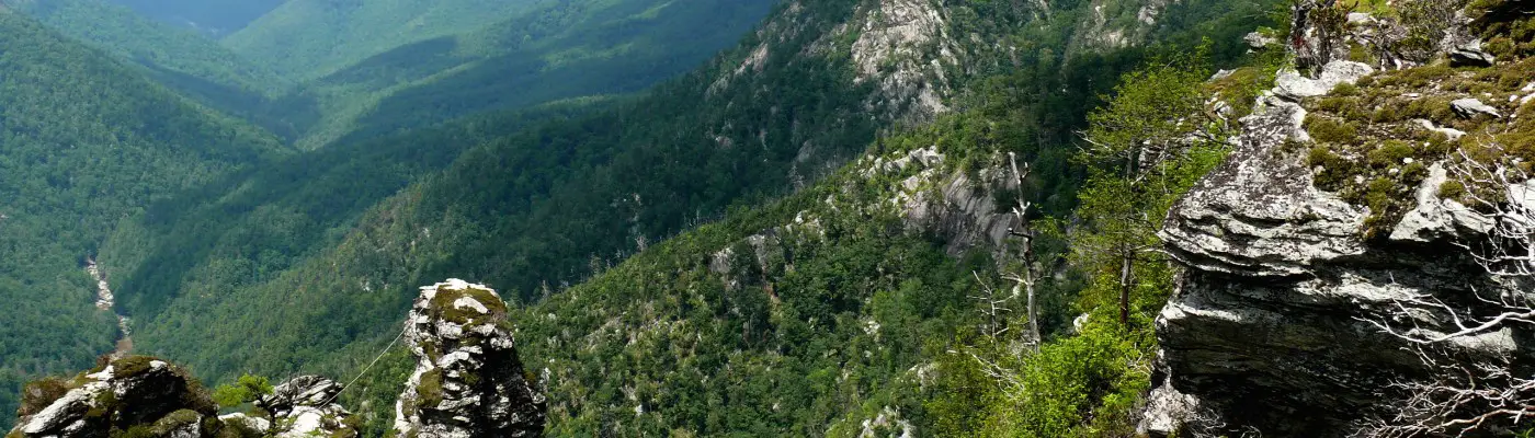 Linville Gorge