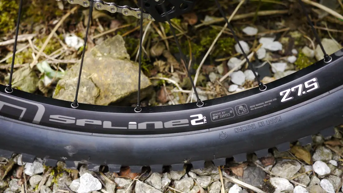 dt swiss minion maxxis