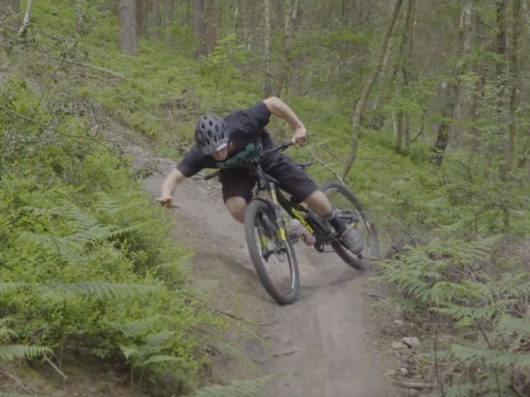 Videos: Will Greenfield