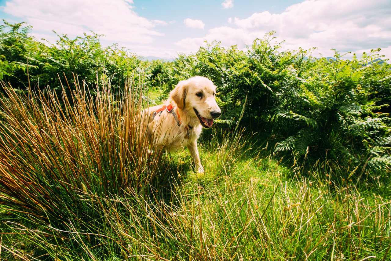 First time Bikepacking - Raasay
