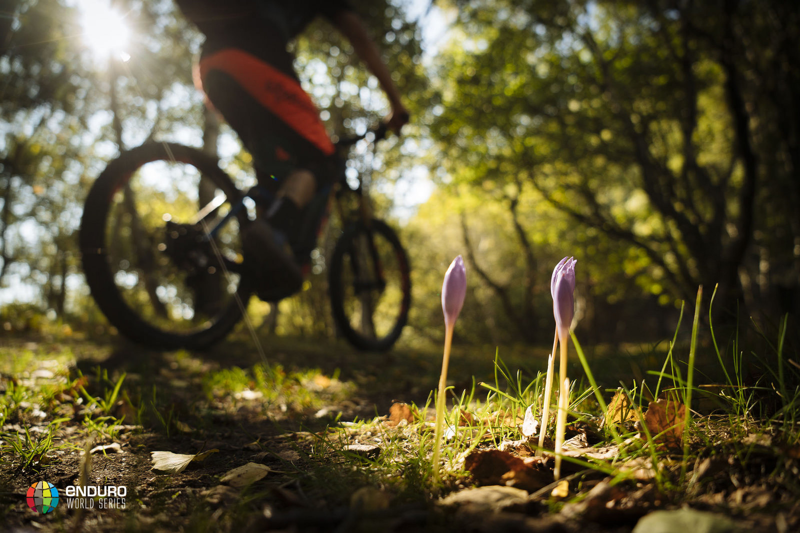 Enduro World Series 2017 - Finale Ligure media preview