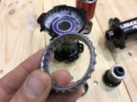 rotor freehub clutch mechanism hub