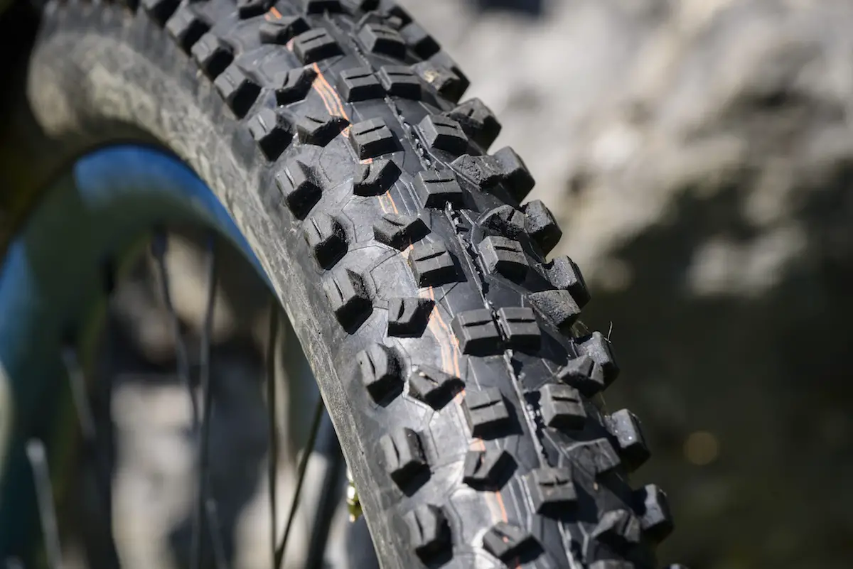 schwalbe hans dampt tubeless tyre issue 114