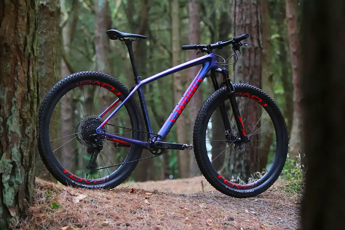 S works hardtail 2019 online