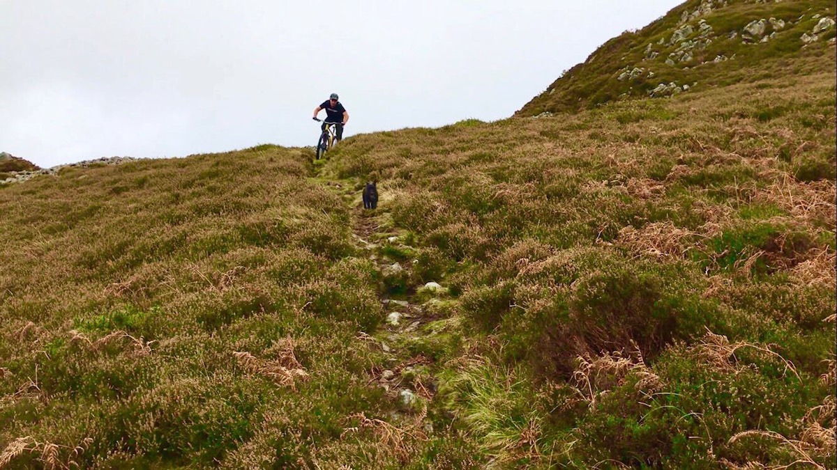 Monday Morning Debrief 104