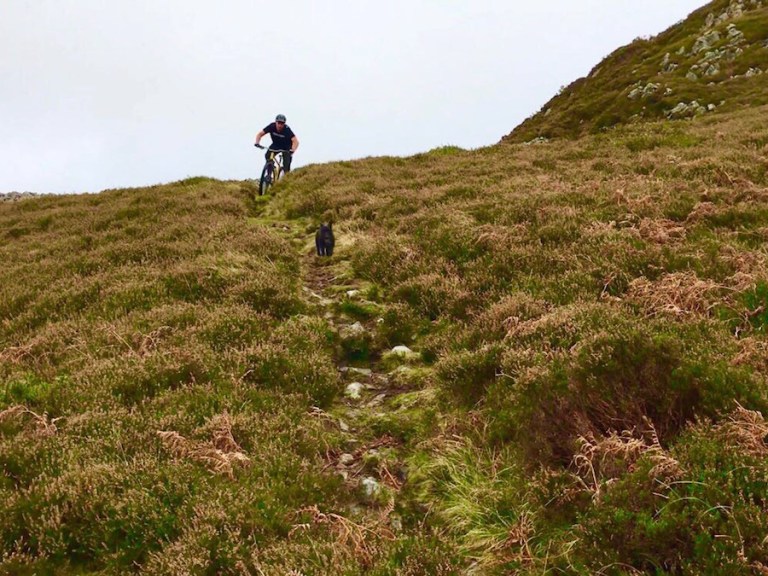 Monday Morning Debrief 104