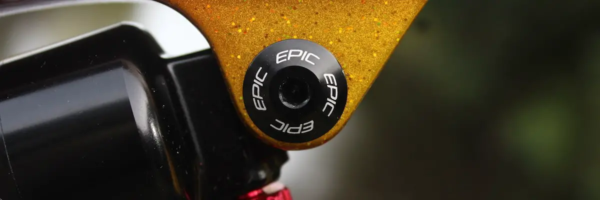 specialized epic expert carbon brain