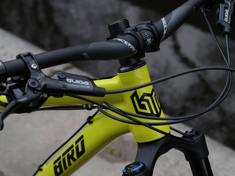 Fresh Goods Friday 373