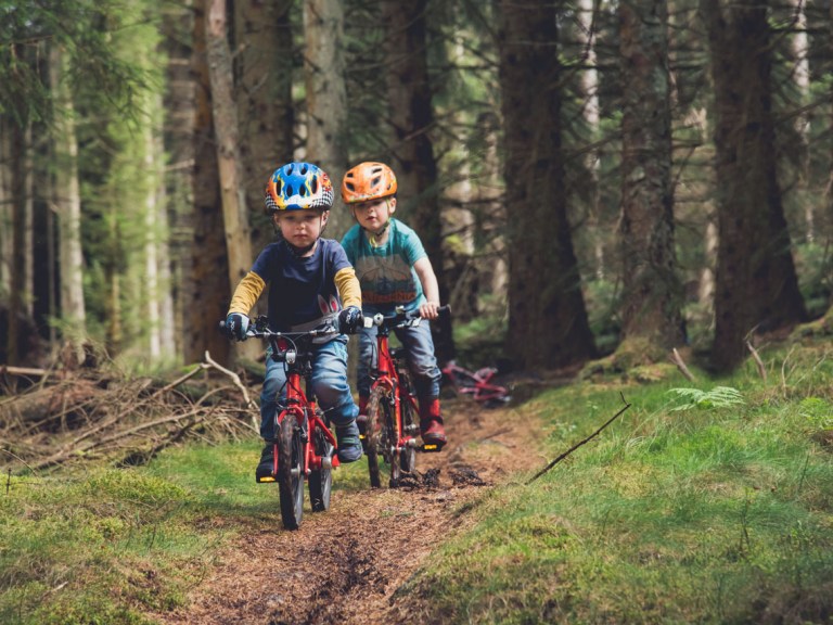 NETCO Unveils Plan For New Aberdeenshire Trail Centre