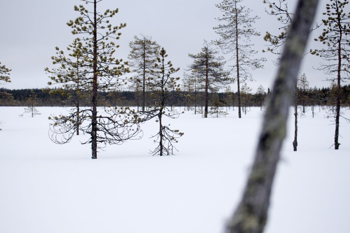 Kickstarter: Fat Biking In Finland Film