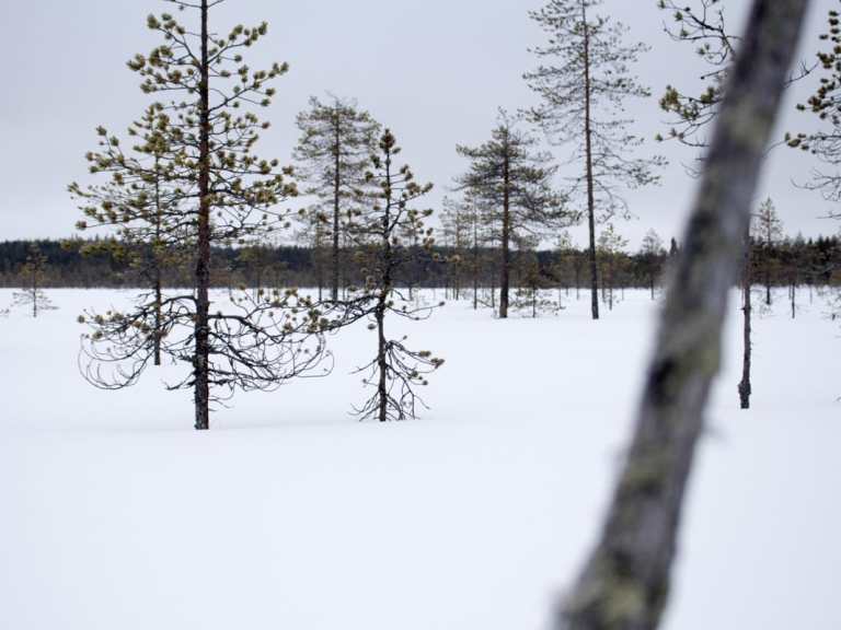 Kickstarter: Fat Biking In Finland Film