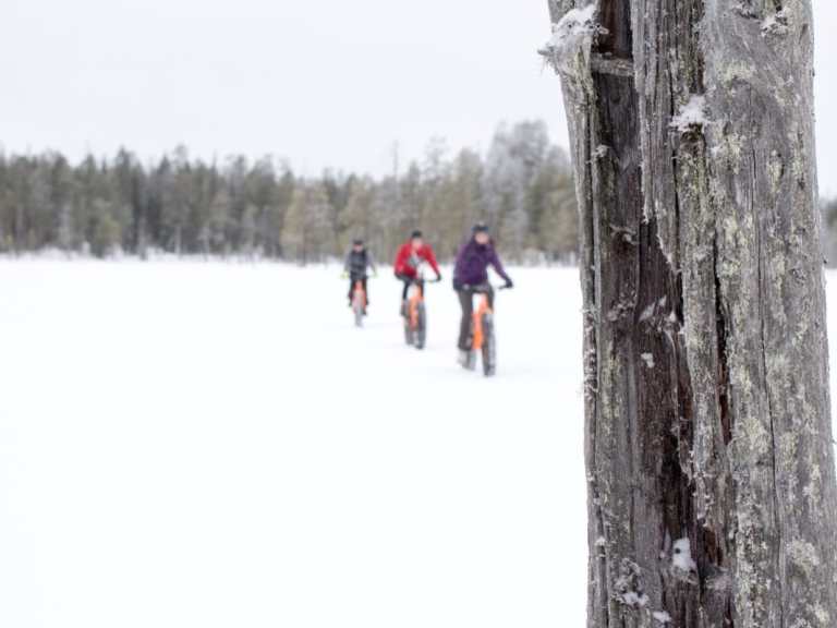 Gallery – Finland: 100 Years Old