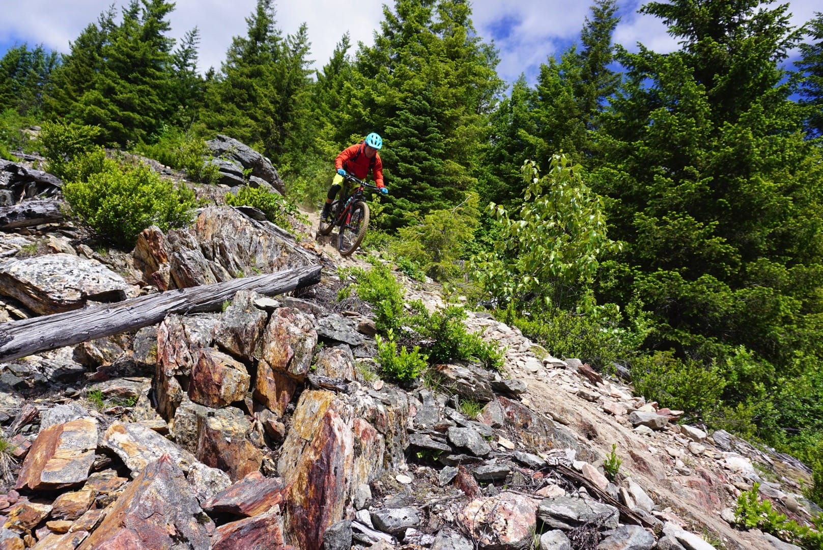 whistler for mortals