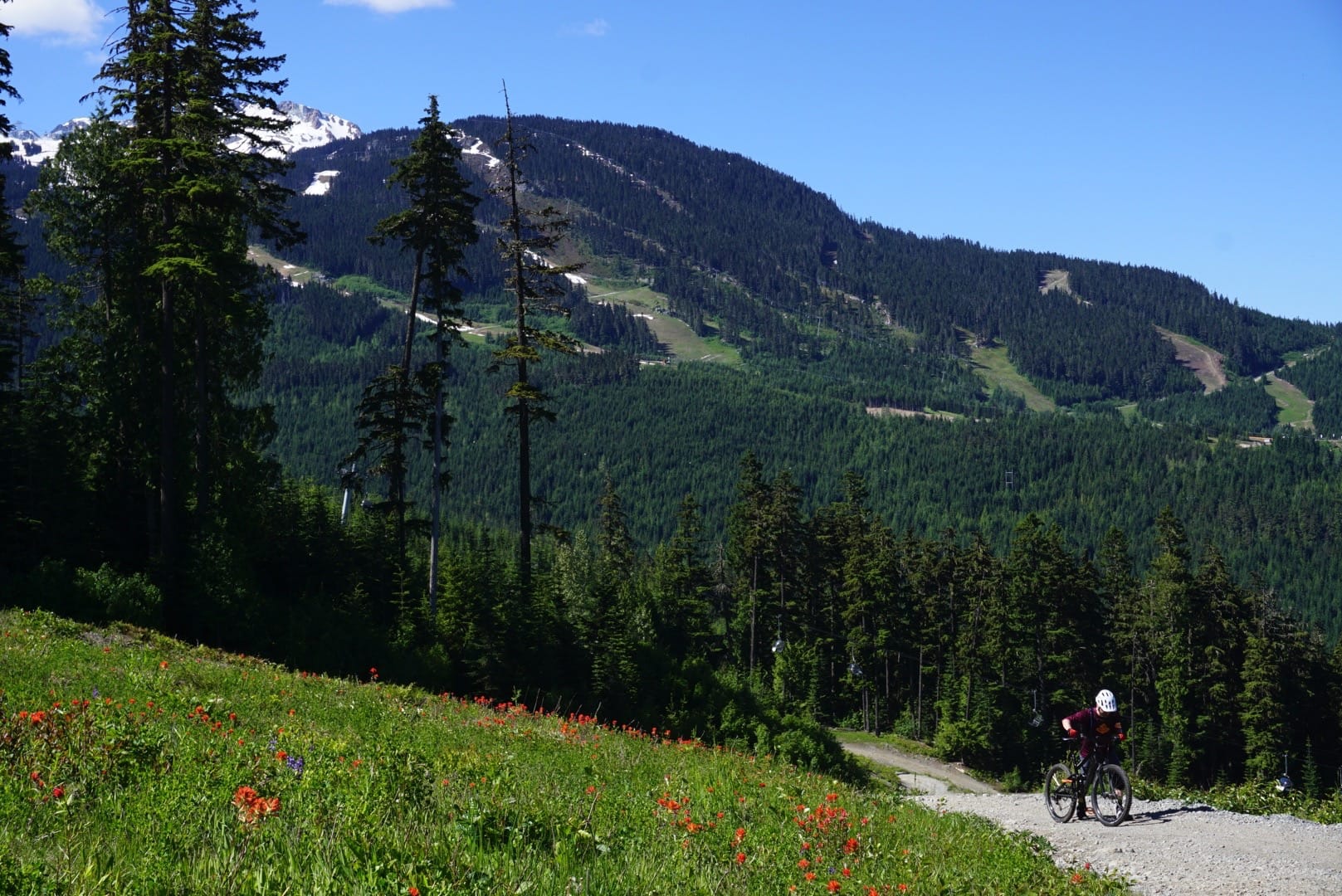 whistler for mortals