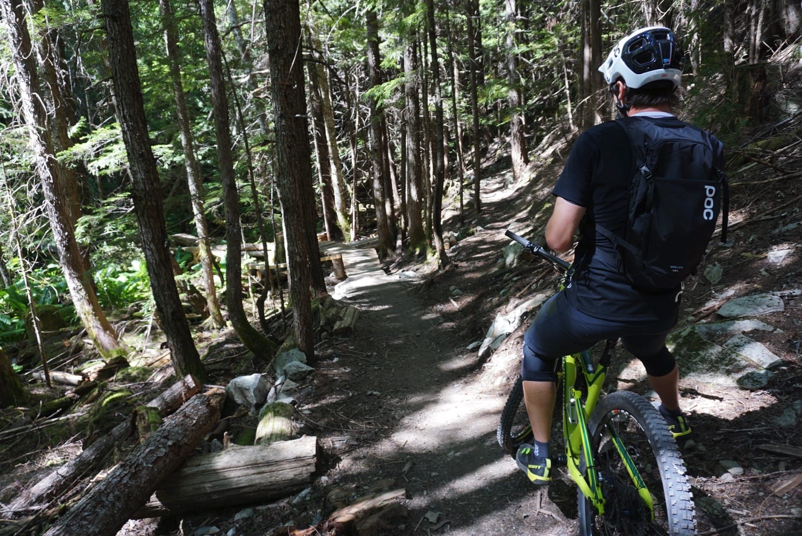 whistler for mortals