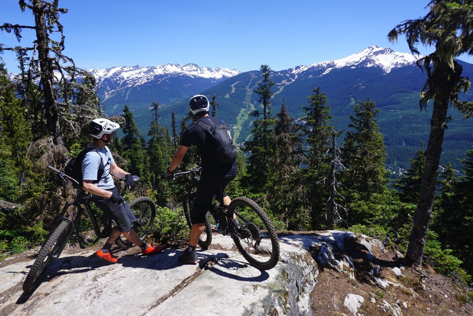 whistler for mortals