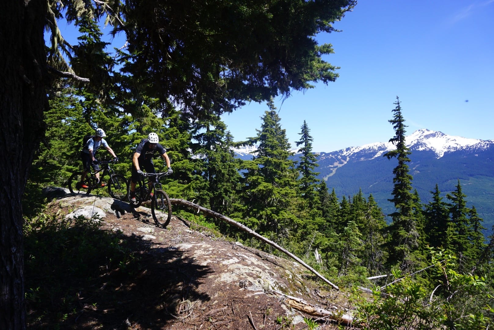 whistler for mortals