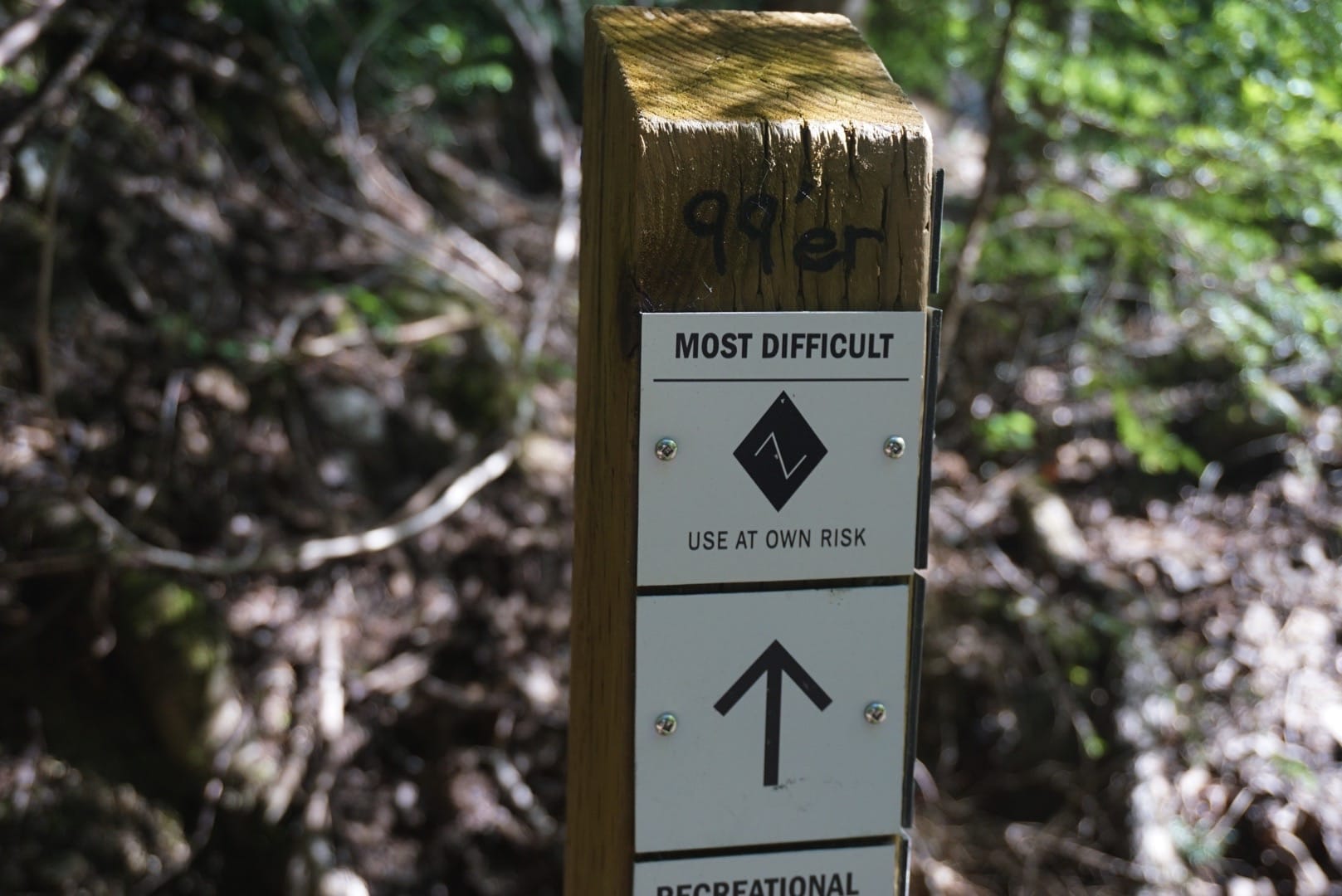 whistler for mortals