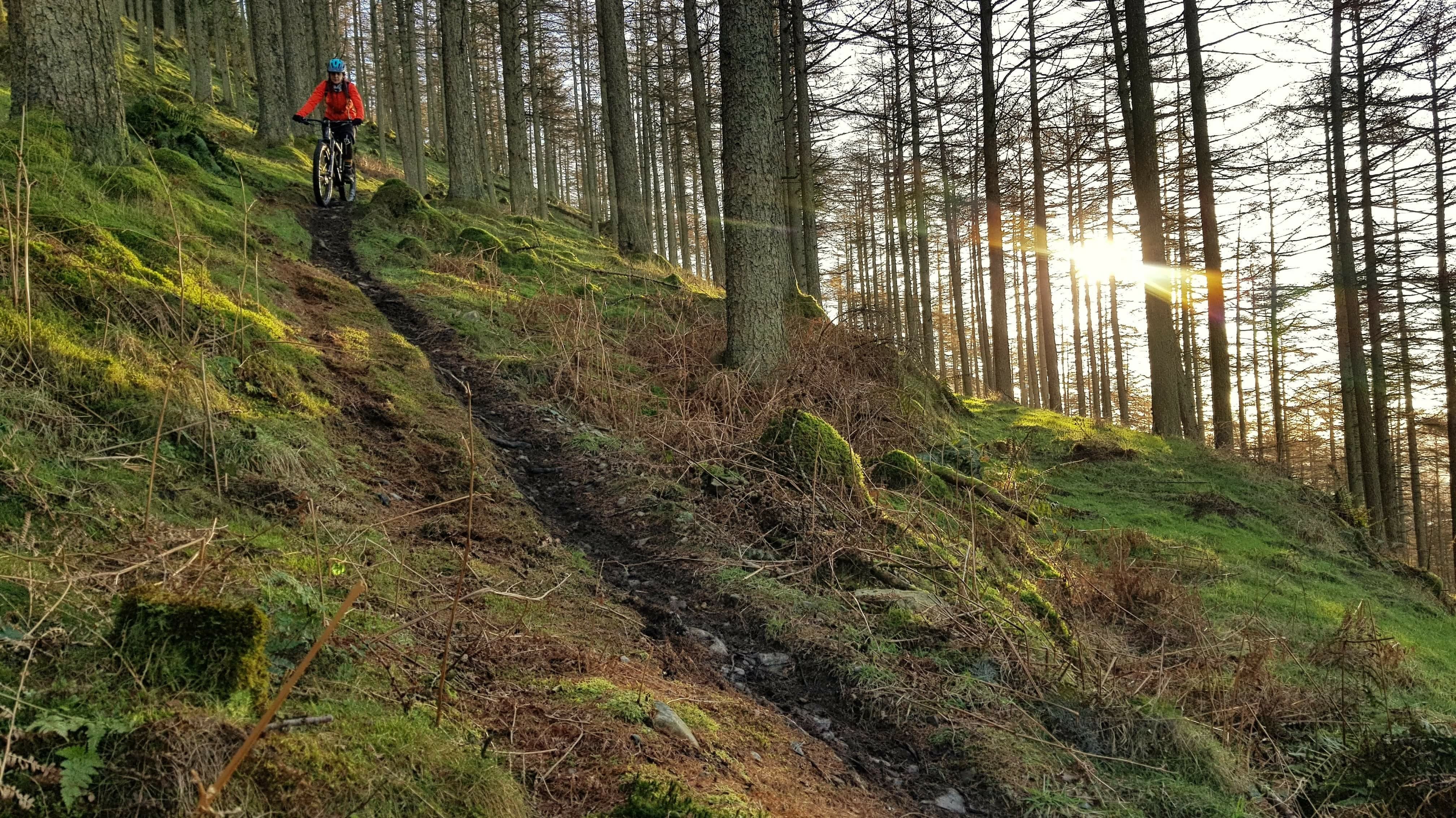 amanda grizedale sunset