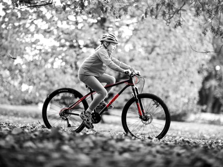 Frog Bikes Now With Added Bounce For Little Shredders