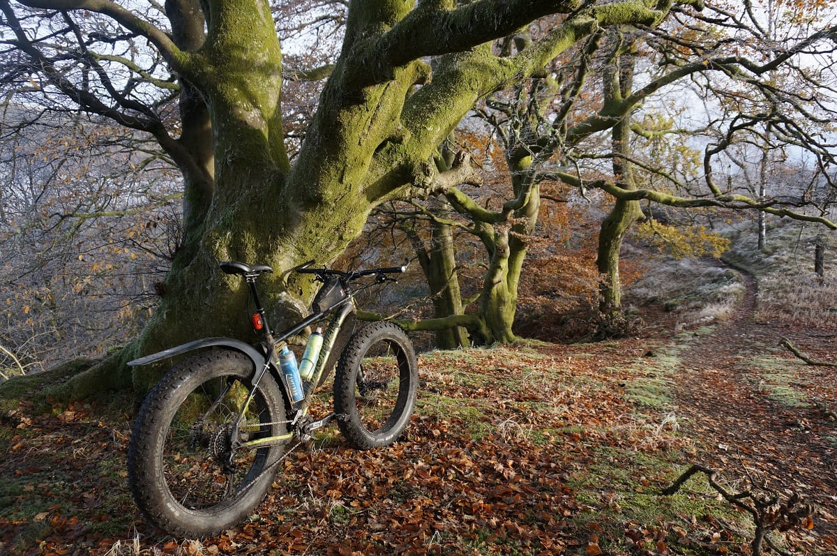 fat caad cannondale handlebar bar ends mudguard