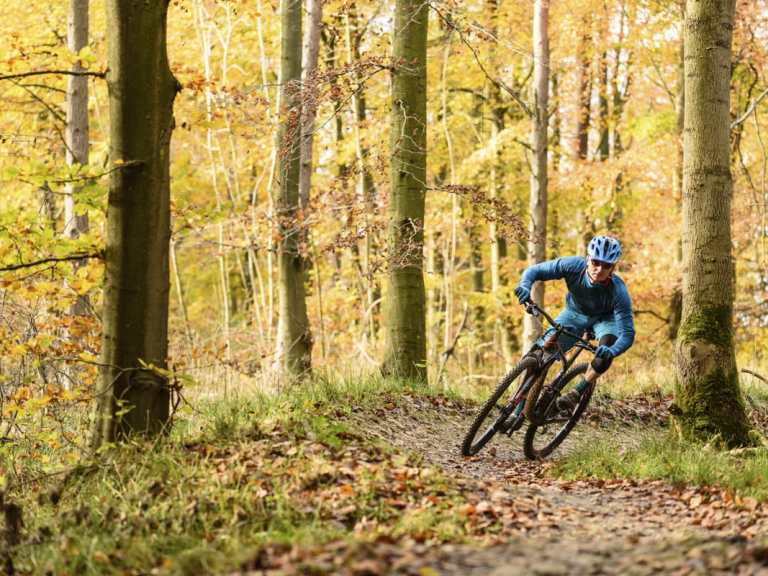 Video Review: Is XC dead? After testing these three bikes, we don’t think so