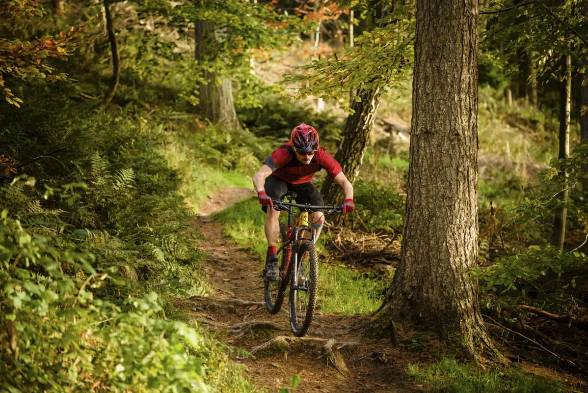 specialized epic expert wil dalby forest