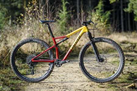 specialized epic expert