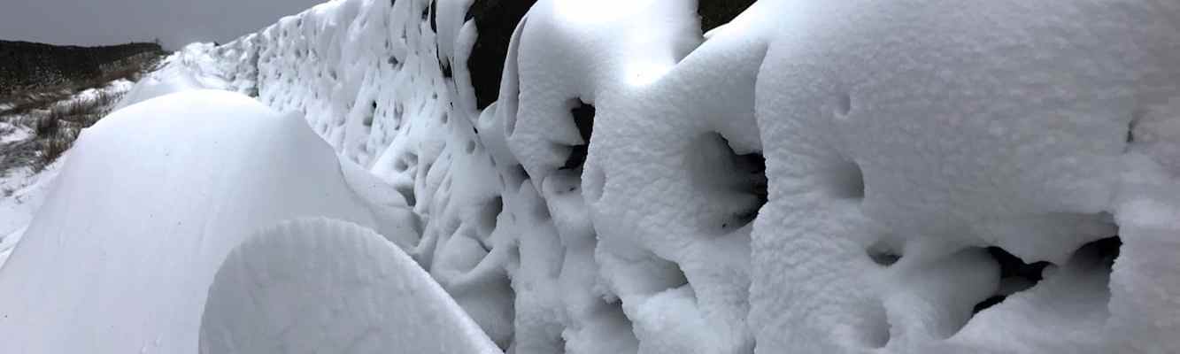 Snow the rake winter