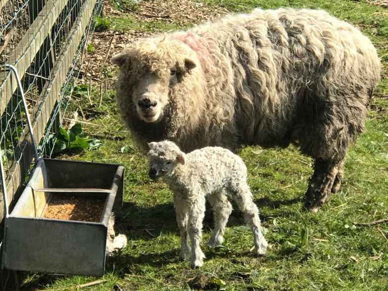 Monday Morning Debrief – Spring Has Sprung Edition