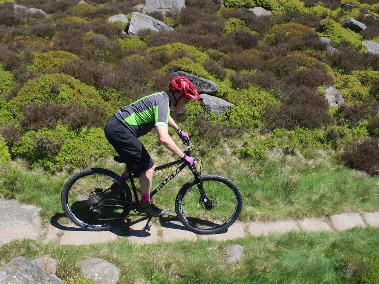 Exclusive First Look: The New Cotic Solaris Max