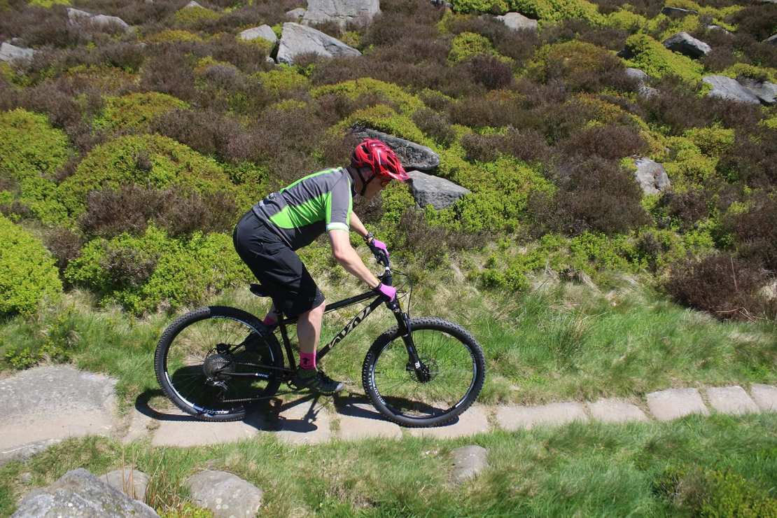 Exclusive First Look: The New Cotic Solaris Max