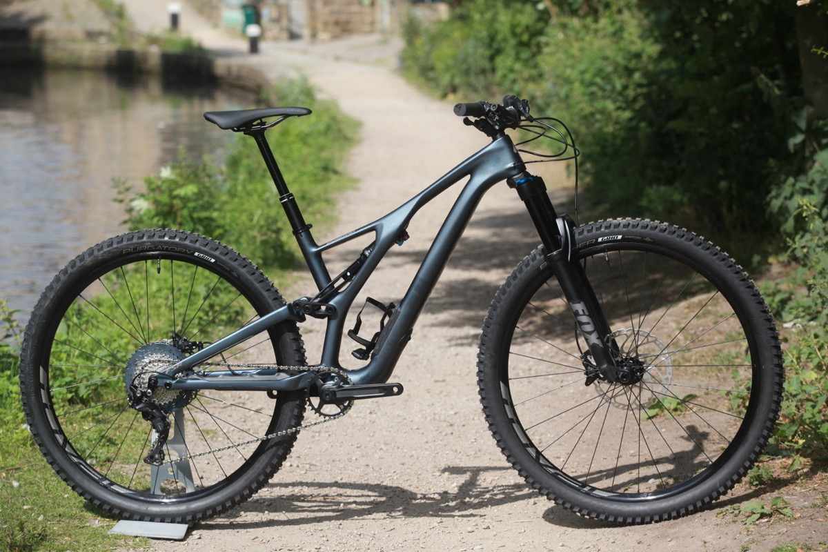 Fresh Goods Friday 400: The Stumpy And Pool Noodle Celebration Edition