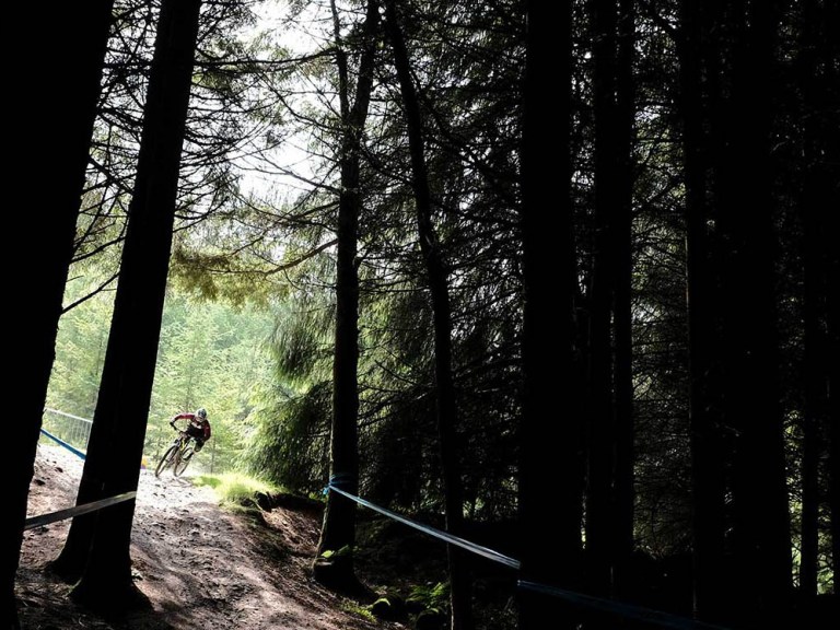 Wash Your Bike, Save Tweedlove Trees And Trails