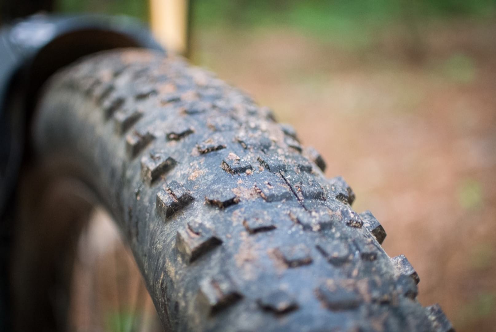 maxxis rekon race