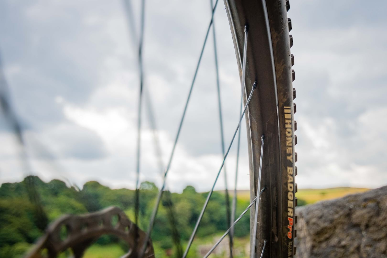 nukeproof horizon wheels tyre