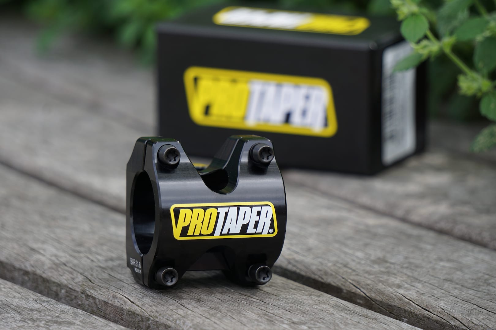 Fresh Goods Friday 407: The “There’s only 2 of us in the office” Edition!