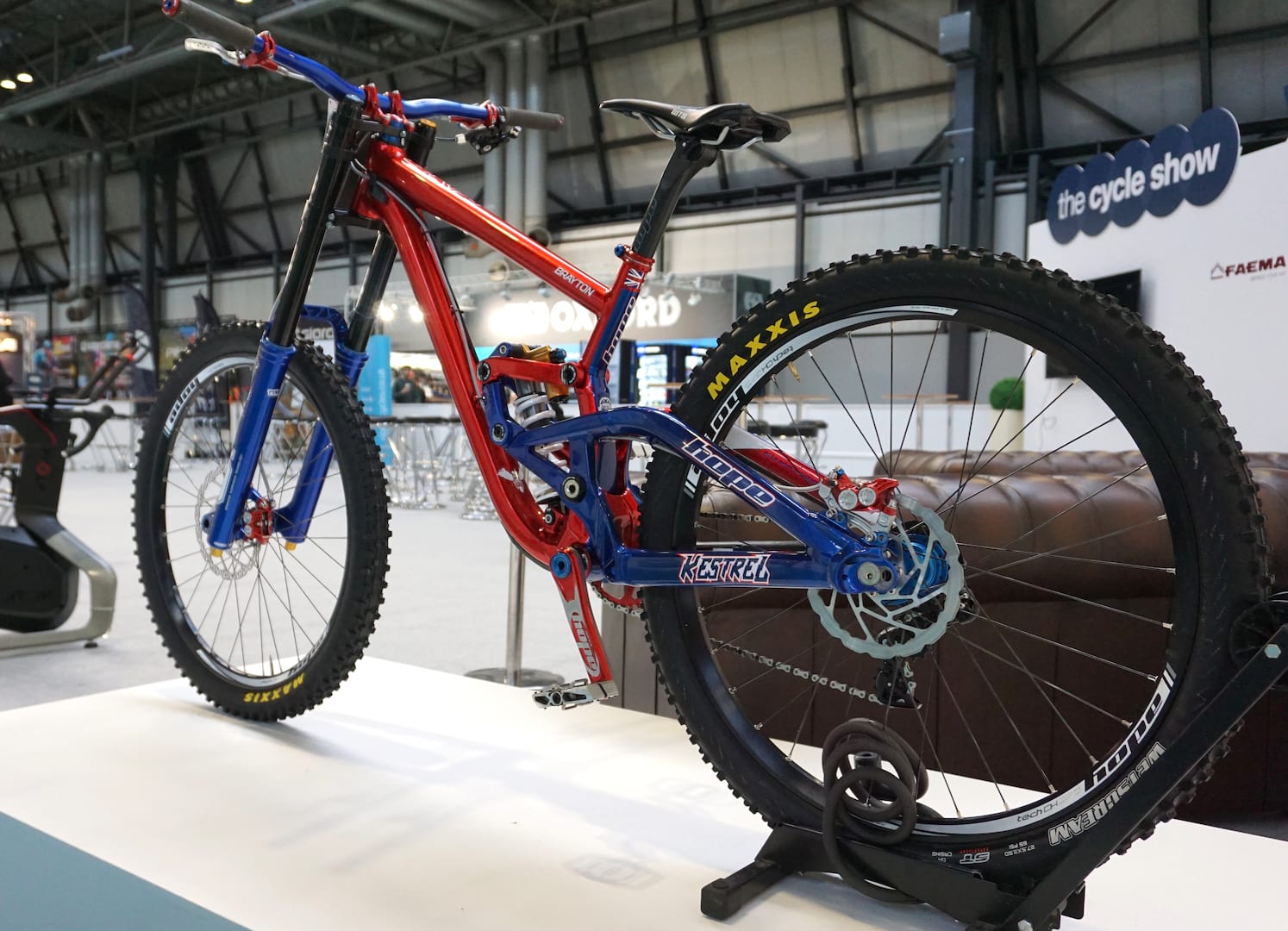 adam brayton scott gambler