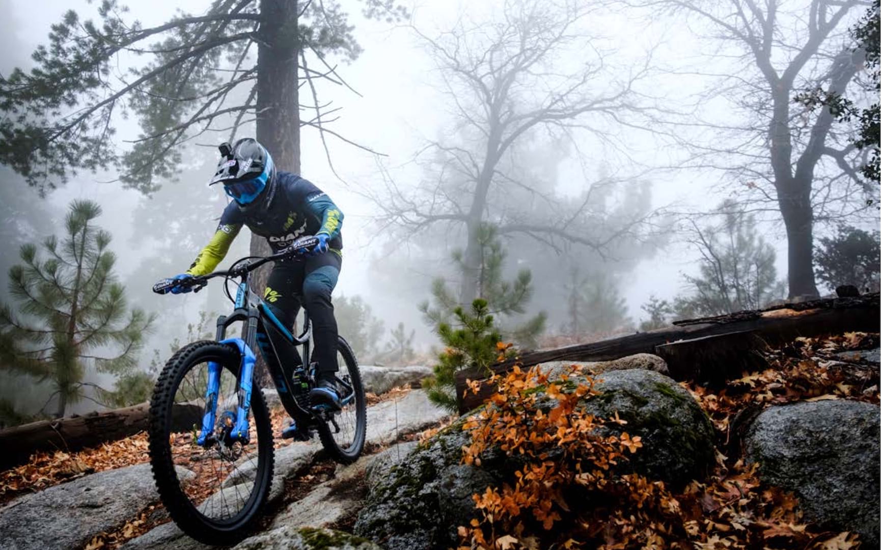 2019 DVO D1 Fork Range Announced Along with Topaz And Garnett Updates