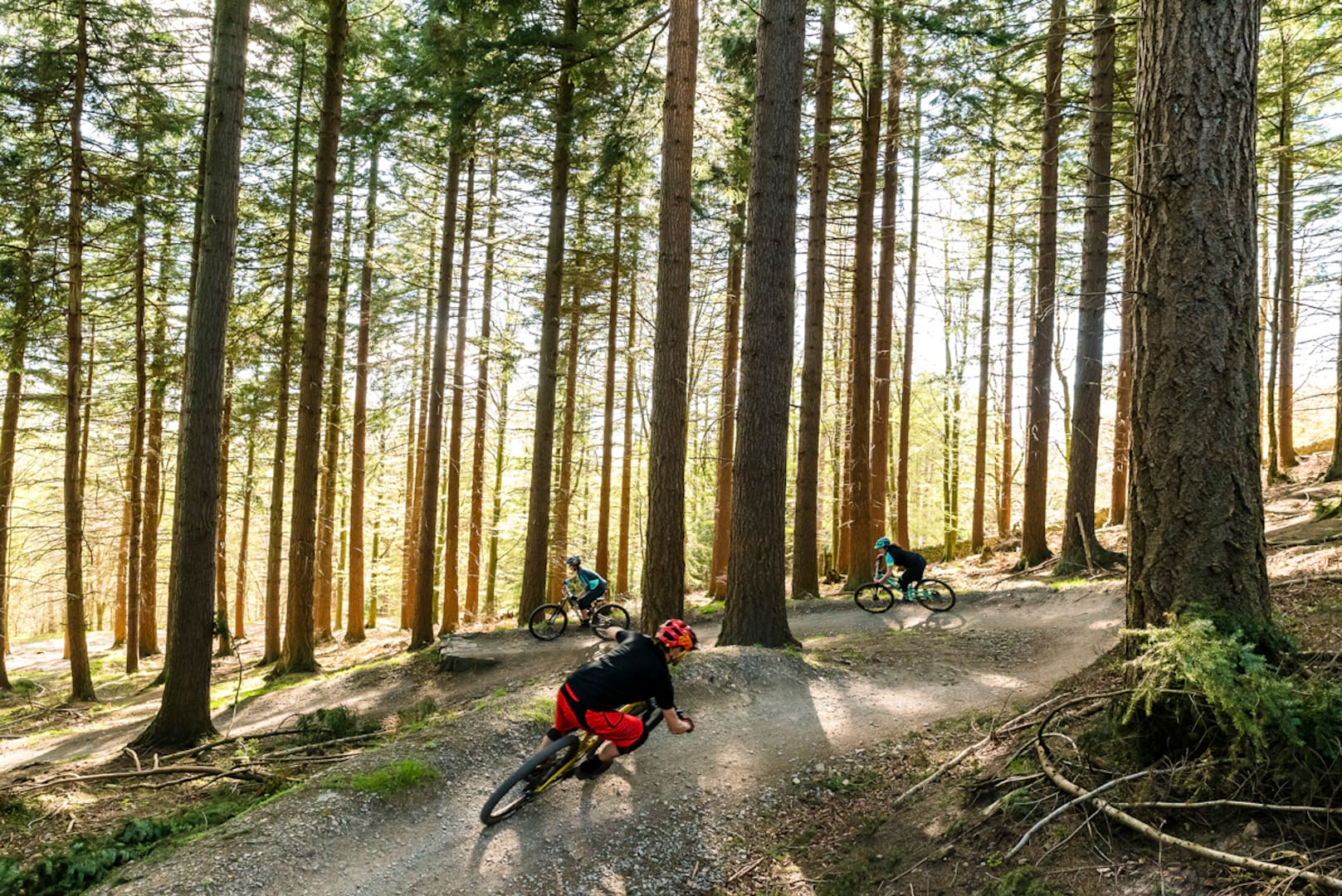 orange stage 4 swarf contour robot r130 hamsterley amanda wil