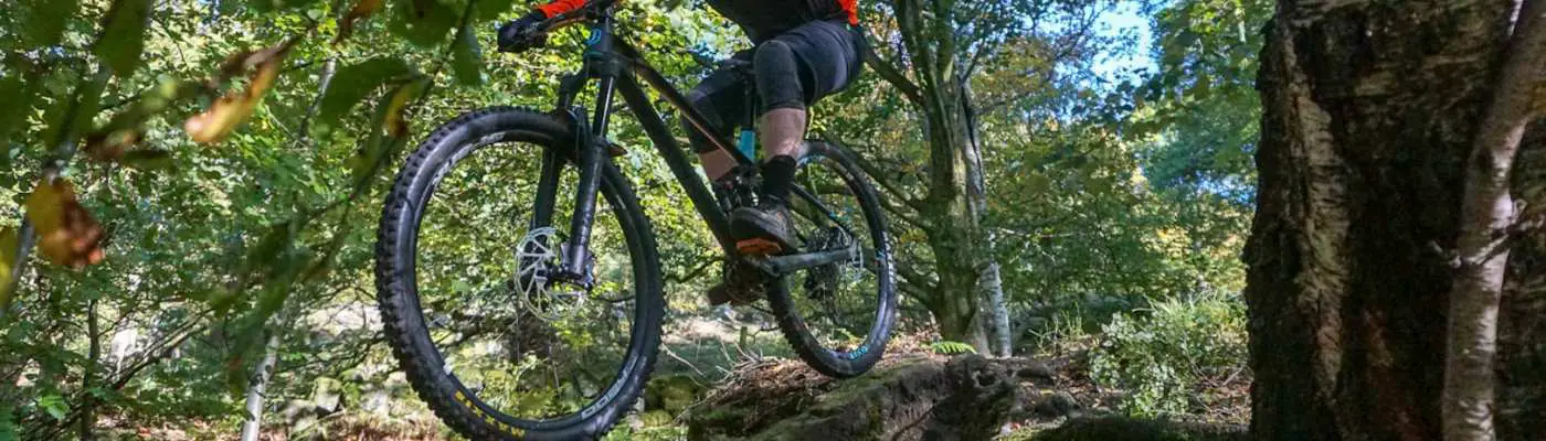 2019 Mondraker Foxy R 29