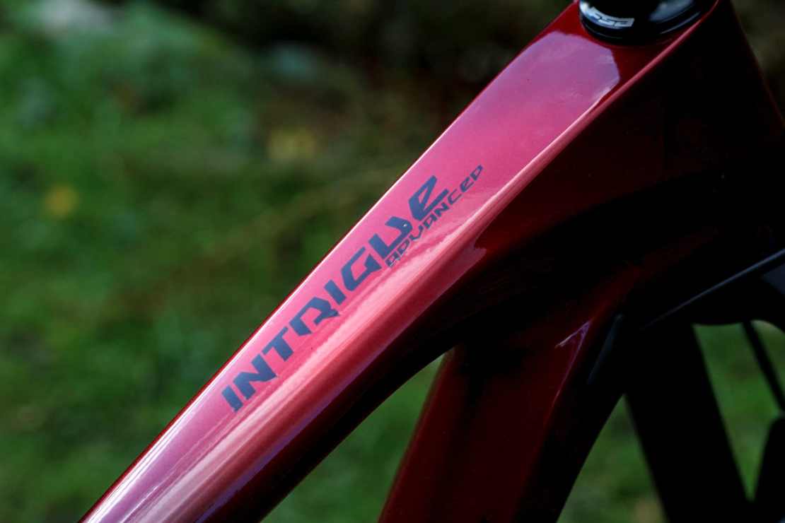 Chill out everyone, Fresh Goods Friday 420 is here