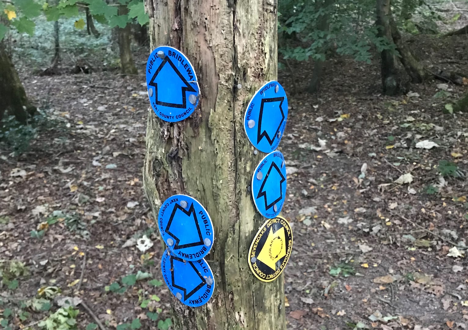 Government Changes Policy on Rights of Way: The Deadline is Back