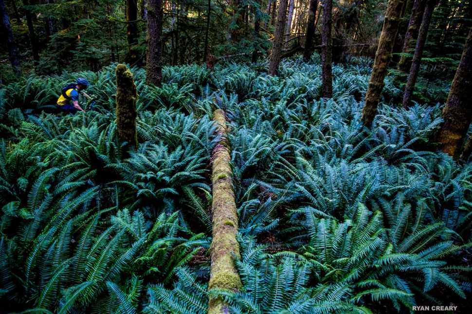 ryan creary vancouver 122