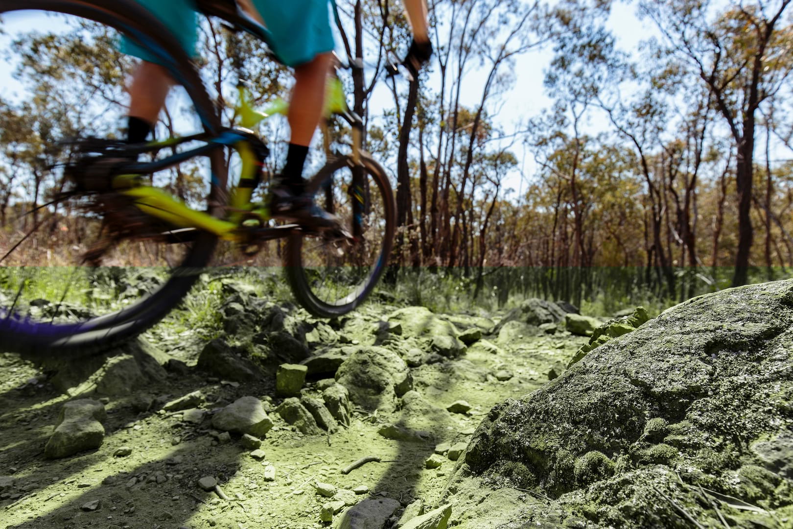Welcome To Bendigo & The Singletrack Southern Headquarters!