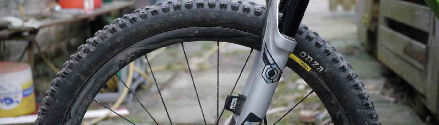 cane creek coil helm fork