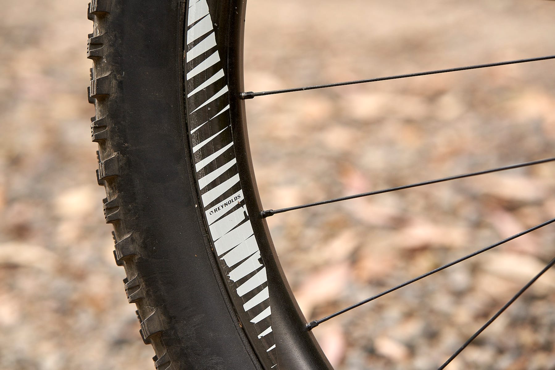 reynolds wheels hub