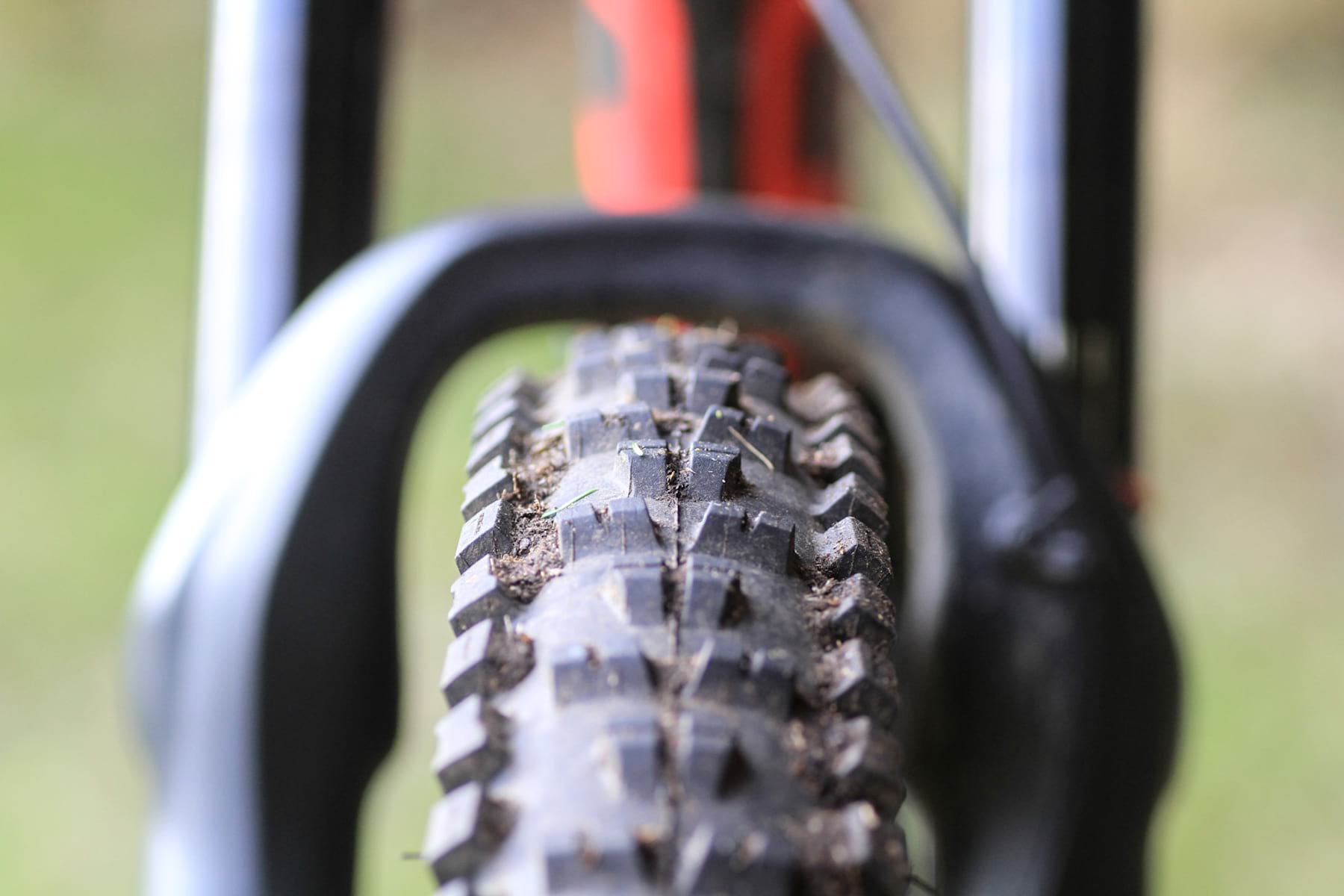 Focus SAM 2019 Packshots maxxis high roller