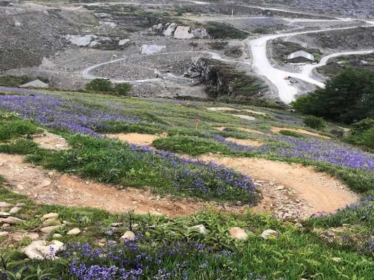 Saracen Partners with Antur Stiniog (and hints at new bikes to come)