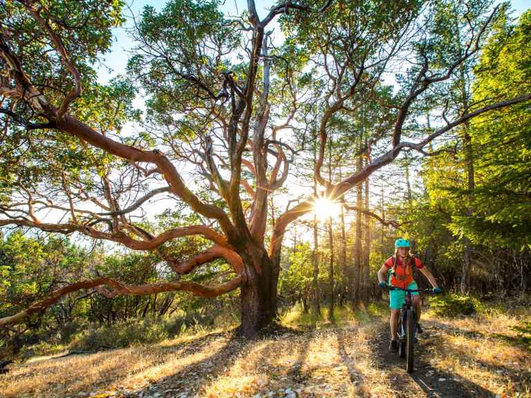 Singletrack Magazine Issue 122: Vancouver’s Treasure Islands